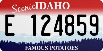 ID license plate E124859