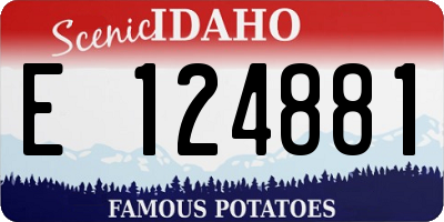 ID license plate E124881