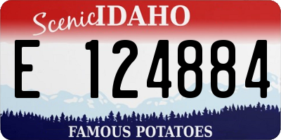 ID license plate E124884