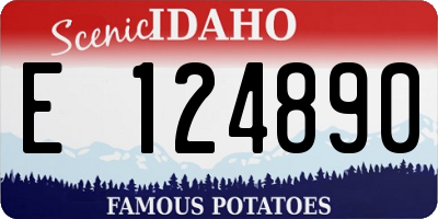 ID license plate E124890