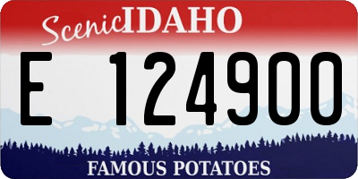 ID license plate E124900