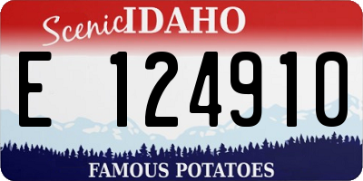 ID license plate E124910