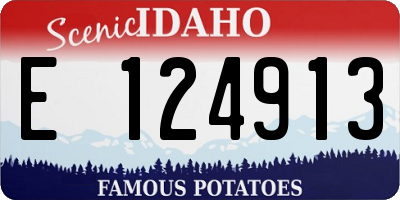 ID license plate E124913