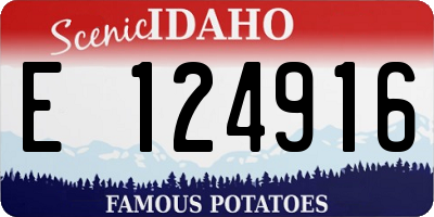 ID license plate E124916