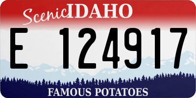 ID license plate E124917