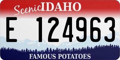 ID license plate E124963