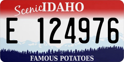 ID license plate E124976