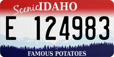 ID license plate E124983