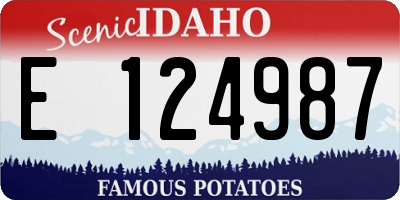 ID license plate E124987