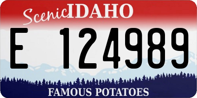 ID license plate E124989