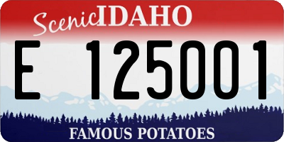 ID license plate E125001