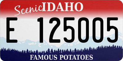 ID license plate E125005