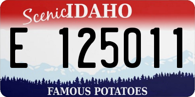 ID license plate E125011