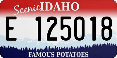 ID license plate E125018