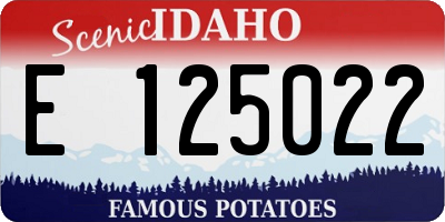 ID license plate E125022