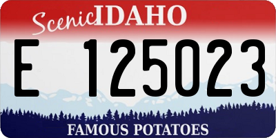ID license plate E125023