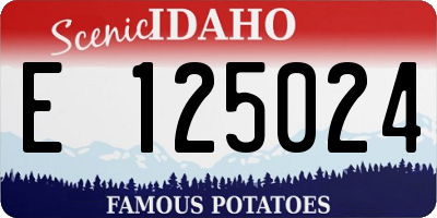 ID license plate E125024