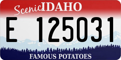 ID license plate E125031
