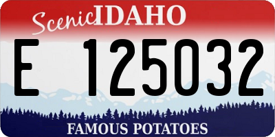 ID license plate E125032