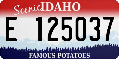 ID license plate E125037