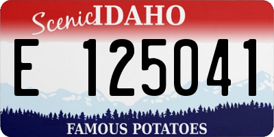 ID license plate E125041