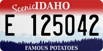 ID license plate E125042
