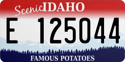 ID license plate E125044