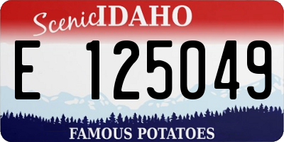 ID license plate E125049
