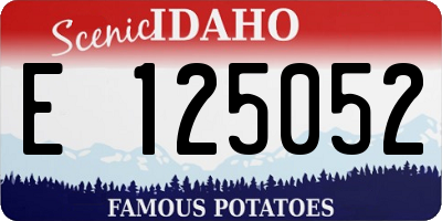 ID license plate E125052
