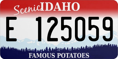 ID license plate E125059