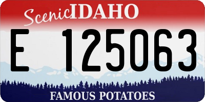 ID license plate E125063