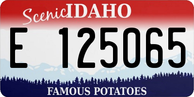 ID license plate E125065