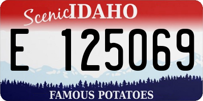 ID license plate E125069