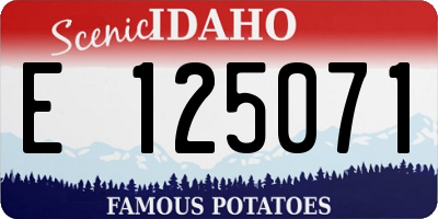ID license plate E125071