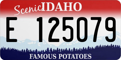 ID license plate E125079