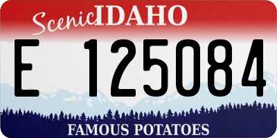 ID license plate E125084