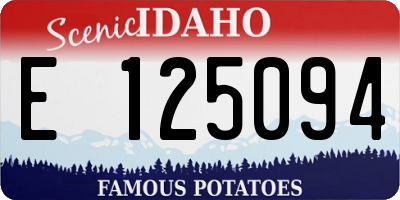 ID license plate E125094