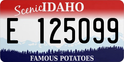 ID license plate E125099