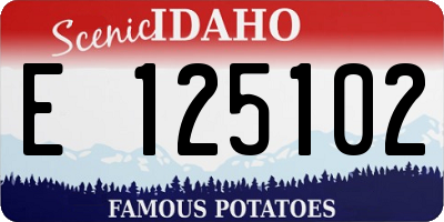ID license plate E125102