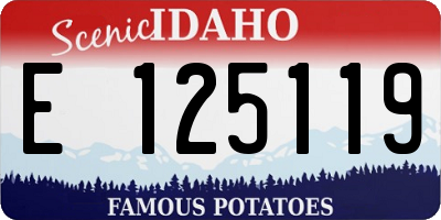 ID license plate E125119