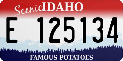 ID license plate E125134