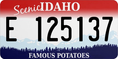ID license plate E125137