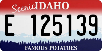 ID license plate E125139
