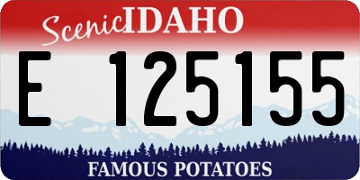 ID license plate E125155