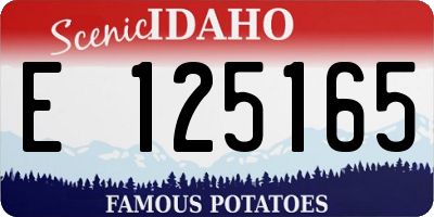 ID license plate E125165