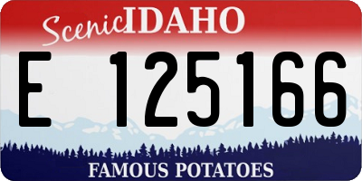 ID license plate E125166