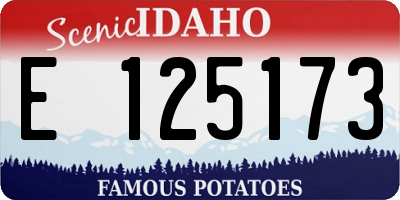 ID license plate E125173