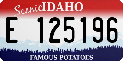 ID license plate E125196
