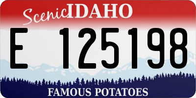 ID license plate E125198