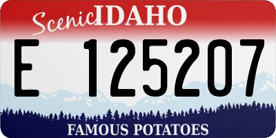 ID license plate E125207